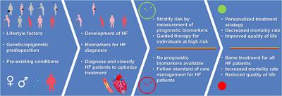 Biomarkers for Heart Failure Prognosis: Proteins, Genetic Scores and Non-coding RNAs